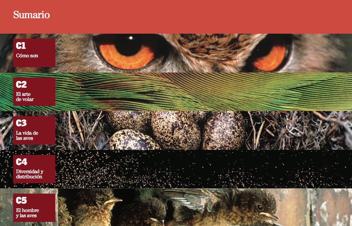 Sumario Aves
